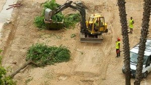 Obres i tala al carrer Rodés